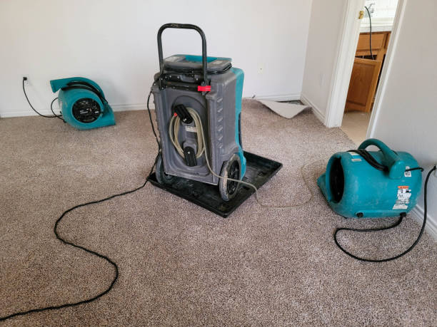 Best Flooded house restoration  in East Bernard, TX