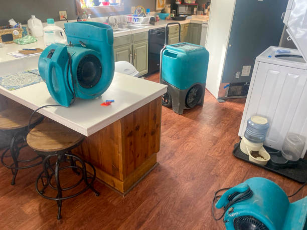 Best Flood damage cleanup  in East Bernard, TX