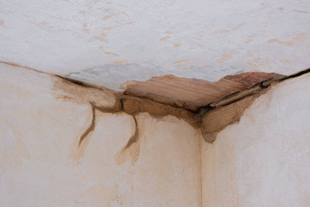 Best Local water damage restoration  in East Bernard, TX