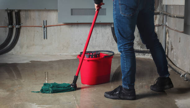 Best Carpet water damage restoration  in East Bernard, TX