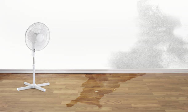 Best Water damage restoration near me  in East Bernard, TX