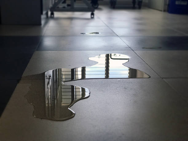 Best Professional water damage repair  in East Bernard, TX