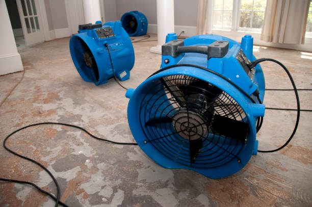 Best Flood damage cleanup  in East Bernard, TX