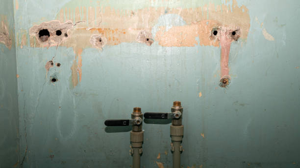 Best Water damage contractors near me  in East Bernard, TX