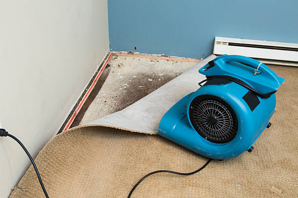 Best Emergency water damage restoration  in East Bernard, TX